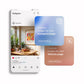 Frame Mockup in Kitchen, ISO A DIN Ratio, Thin Wood Frame, PSD Mockup, Minimal Modern Home Interior Design Mockup