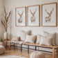 3 Frame Mockup in Home Interior PSD | 3 Frame Mockup Frames | Interior Wall Poster |  Interior Poster Shop Mockup